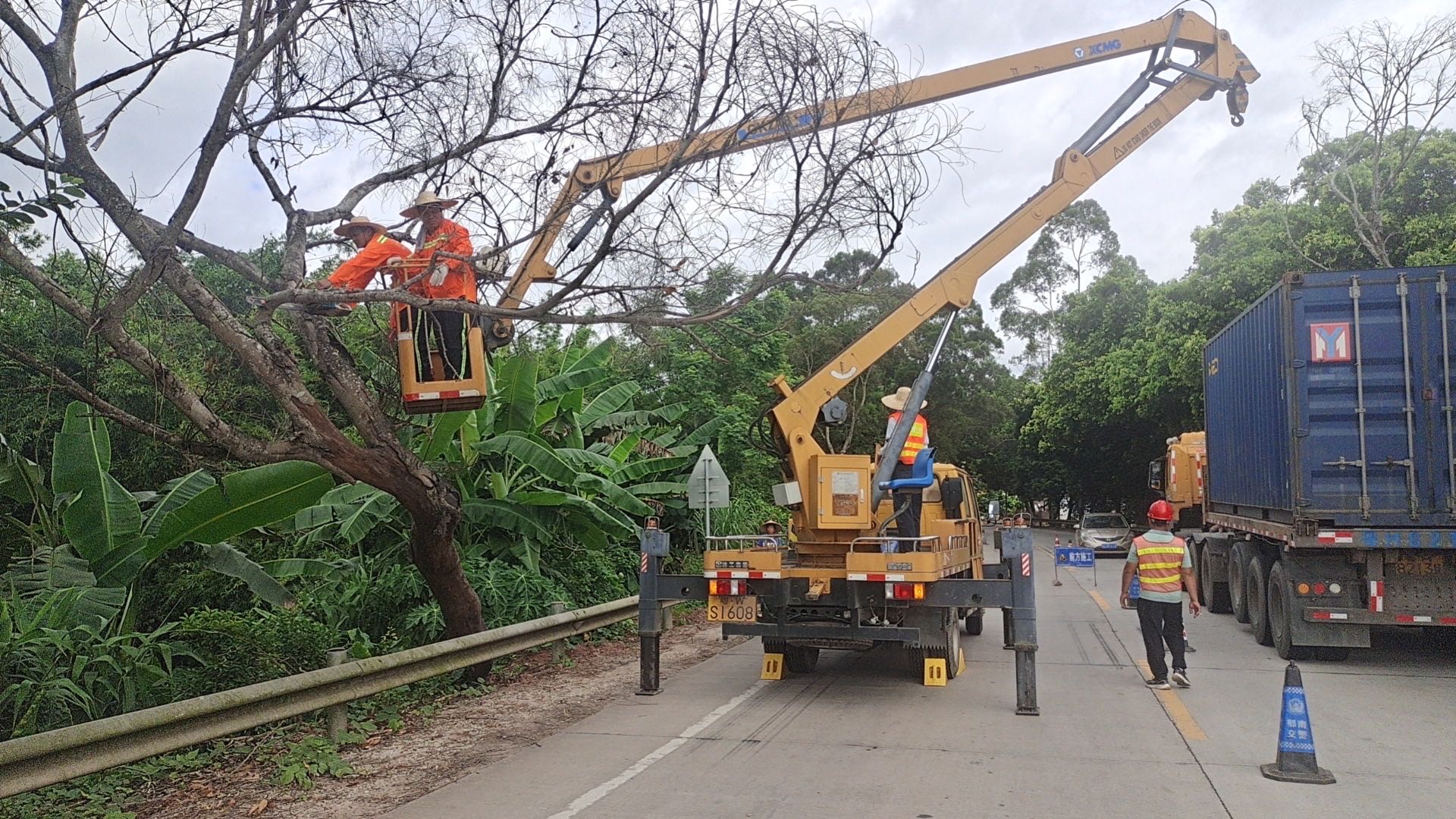 郁南縣公路事務(wù)中心未雨綢繆防臺風(fēng)清理危樹除隱患(新)(1)(副本).doc_1